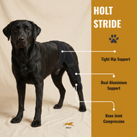 HOLT Stride CCL Knee Brace