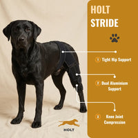 HOLT Stride CCL Knee Brace