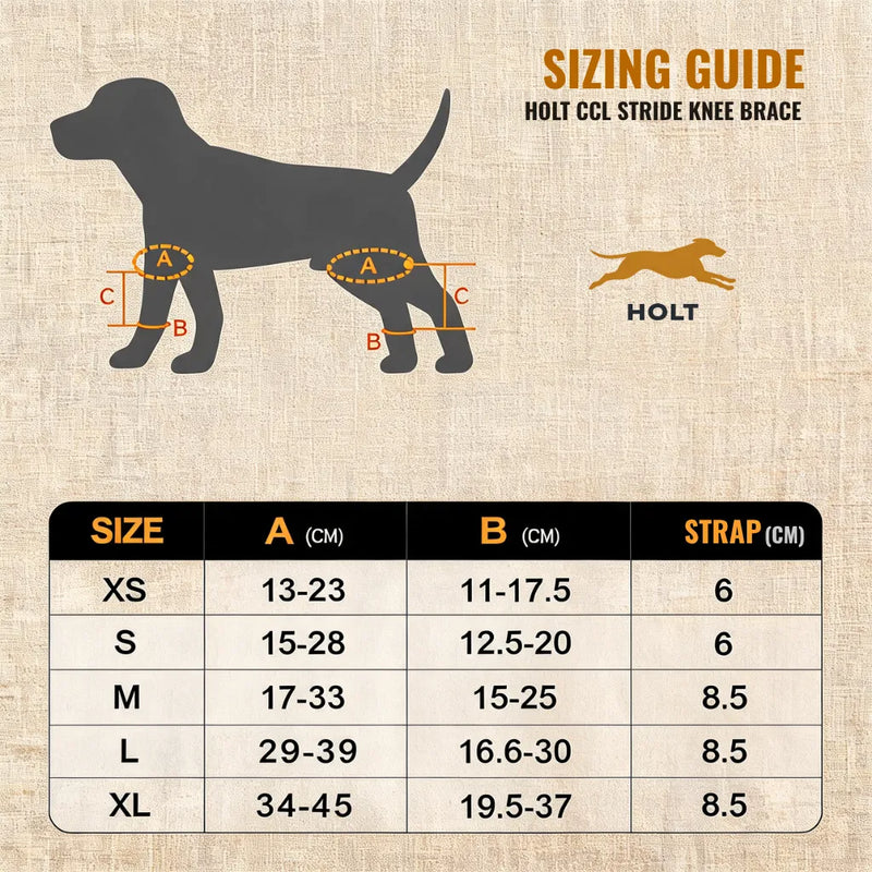 How to measure your dog
