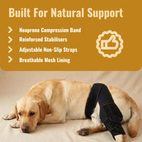 HOLT Stride CCL Knee Brace