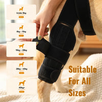 HOLT Stride CCL Knee Brace