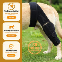 HOLT Stride CCL Knee Brace