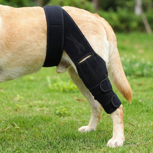 HOLT Stride CCL Knee Brace